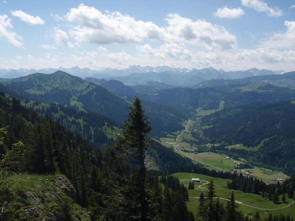 Апартаменты Alpenroesle Бальдершванг Экстерьер фото